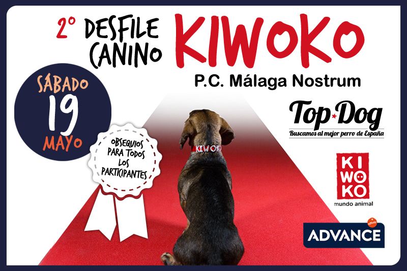 no te pierdas el desfile canino málaga de Kiwoko