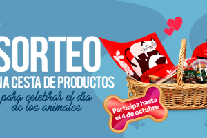 SORTEO KIWOKO