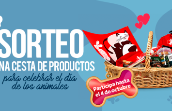 SORTEO KIWOKO SORTEO KIWOKO