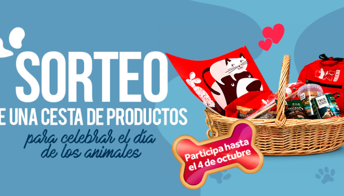 SORTEO KIWOKO SORTEO KIWOKO