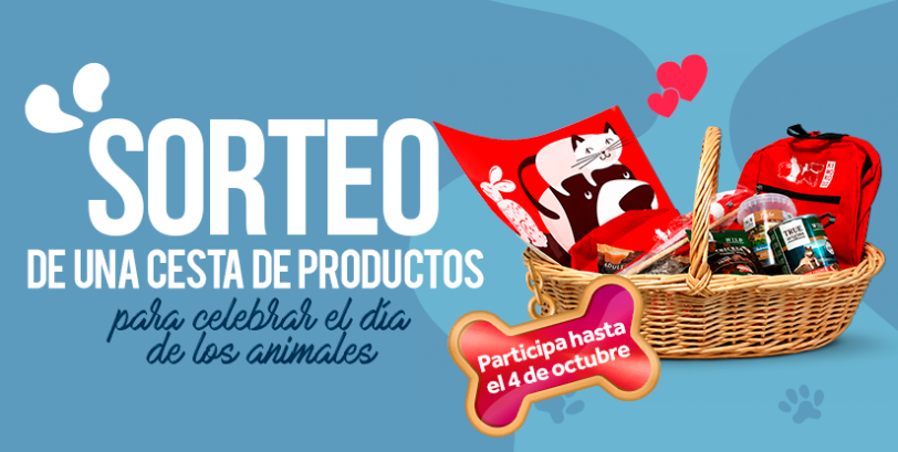SORTEO KIWOKO